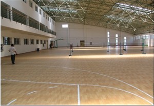 室內(nèi)運(yùn)動(dòng)地板 室內(nèi)運(yùn)動(dòng)地板
