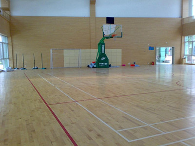 室內(nèi)運(yùn)動(dòng)地板 室內(nèi)運(yùn)動(dòng)地板