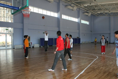 室內(nèi)運動木地板 室內(nèi)運動木地板