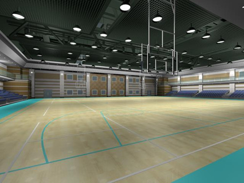 運(yùn)動(dòng)地板 運(yùn)動(dòng)木地板 運(yùn)動(dòng)地板 運(yùn)動(dòng)木地板