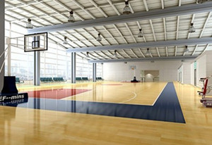 運(yùn)動(dòng)木地板 運(yùn)動(dòng)木地板