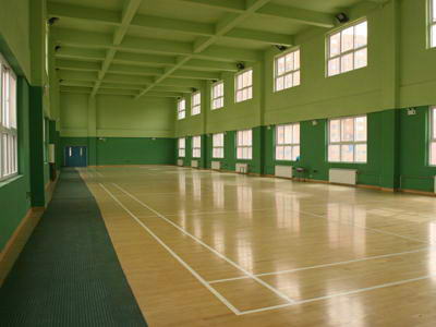 運(yùn)動(dòng)木地板 運(yùn)動(dòng)木地板