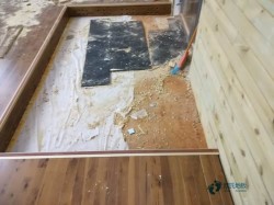 大學(xué)運(yùn)動(dòng)木地板保養(yǎng)知識(shí)