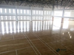 松木舞臺(tái)場(chǎng)館地板哪些牌子好