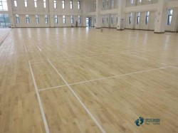 ߶˻@\(yn)(dng)ľذôB(yng)