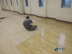 (sh)ľ\(yn)(dng)ذα