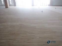 室內(nèi)運動型地板施工團隊