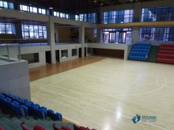 高品質(zhì)運(yùn)動(dòng)木地板環(huán)保